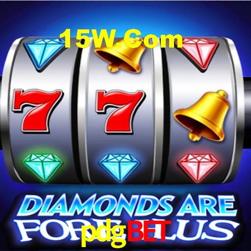 Programa VIP pdgbet